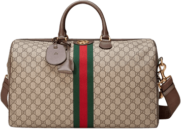 Premium luxury bag